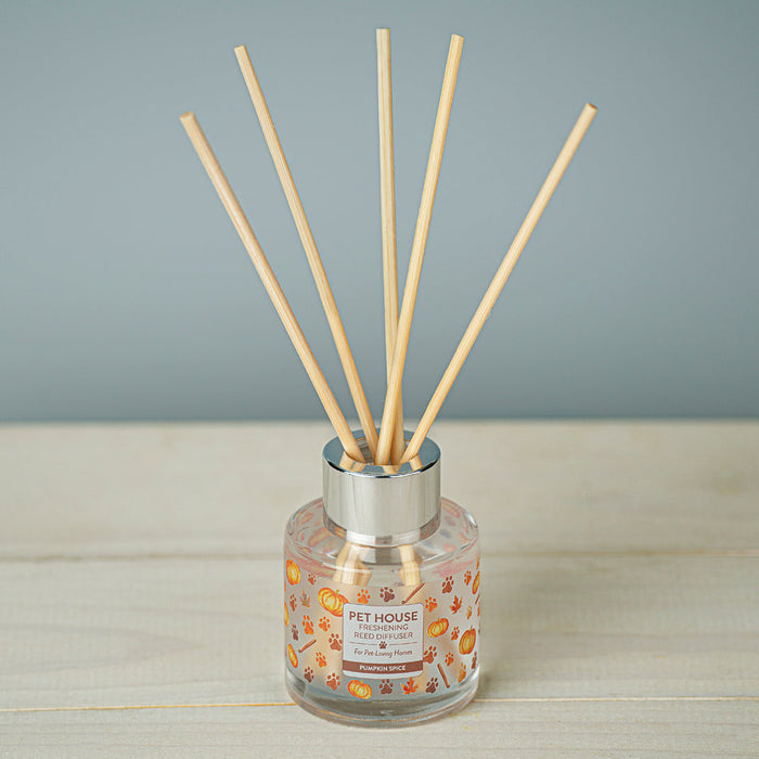One Fur All Pumpkin Spice Reed Diffuser - 3 - Image 7