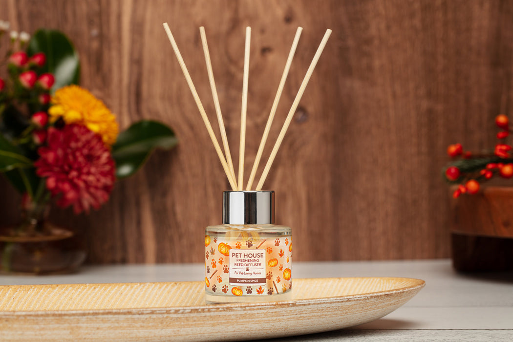 One Fur All Pumpkin Spice Reed Diffuser - 5 - Image 7