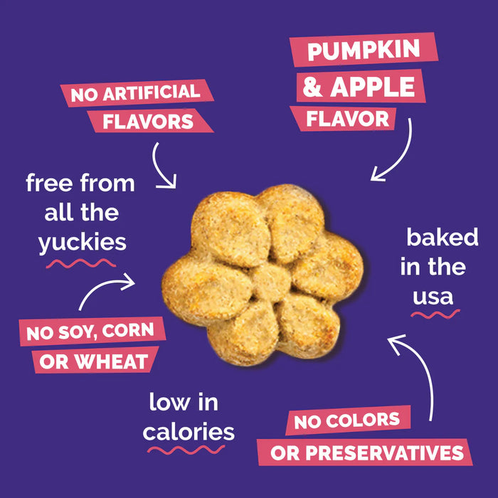 Fruitables Crunchy Baked Dog Treats Pumpkin & Apple 7oz