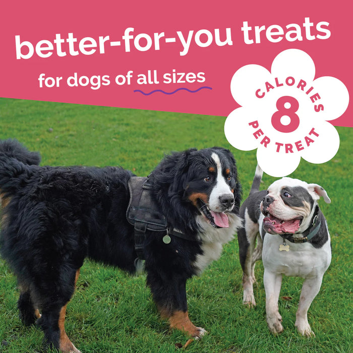 Fruitables Crunchy Baked Dog Treats Pumpkin & Apple 7oz