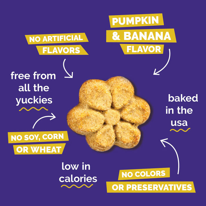 Fruitables Crunchy Baked Dog Treats Pumpkin & Banana 7oz