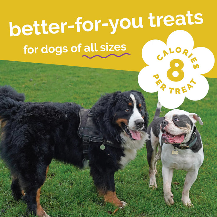 Fruitables Crunchy Baked Dog Treats Pumpkin & Banana 7oz