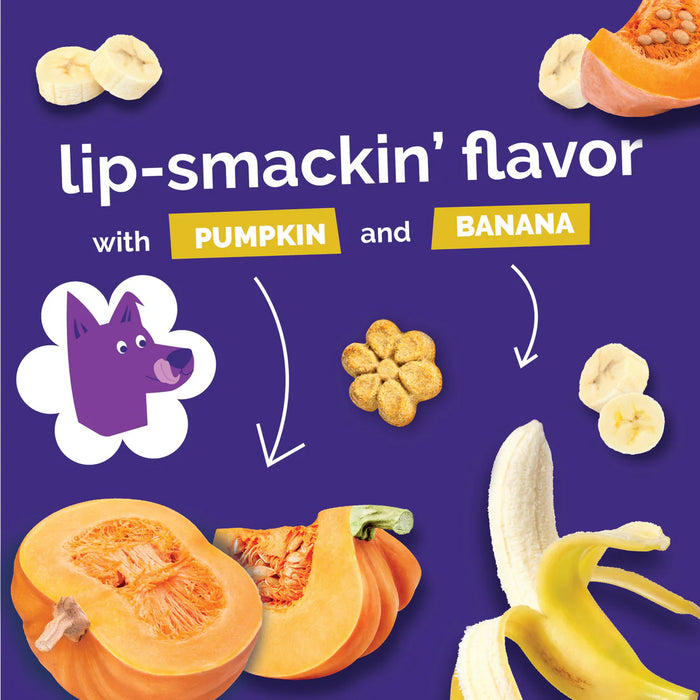 Fruitables Crunchy Baked Dog Treats Pumpkin & Banana 7oz