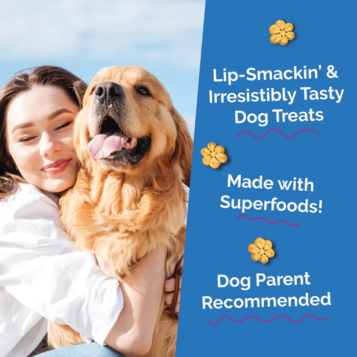 Fruitables Crunchy Baked Dog Treats Pumpkin & Blueberry 7oz