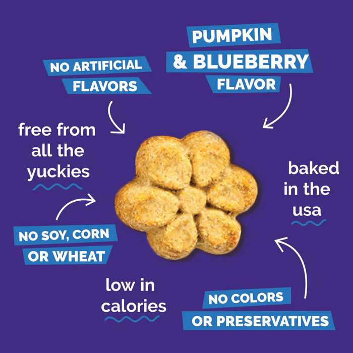 Fruitables Crunchy Baked Dog Treats Pumpkin & Blueberry 12oz 8pc