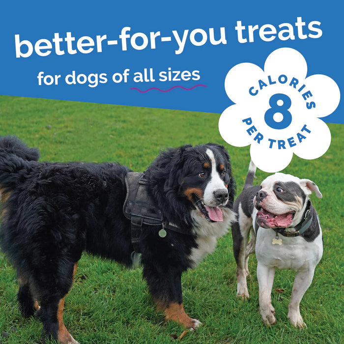 Fruitables Crunchy Baked Dog Treats Pumpkin & Blueberry 7oz