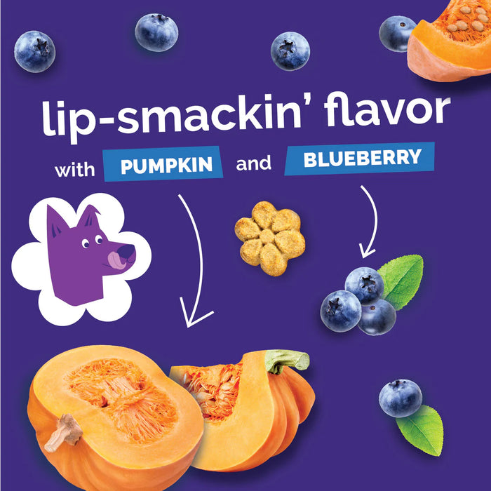 Fruitables Crunchy Baked Dog Treats Pumpkin & Blueberry 7oz