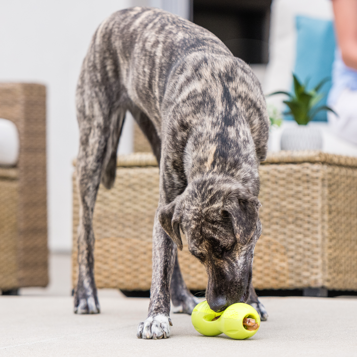 West Paws Qwizl Dog Toy