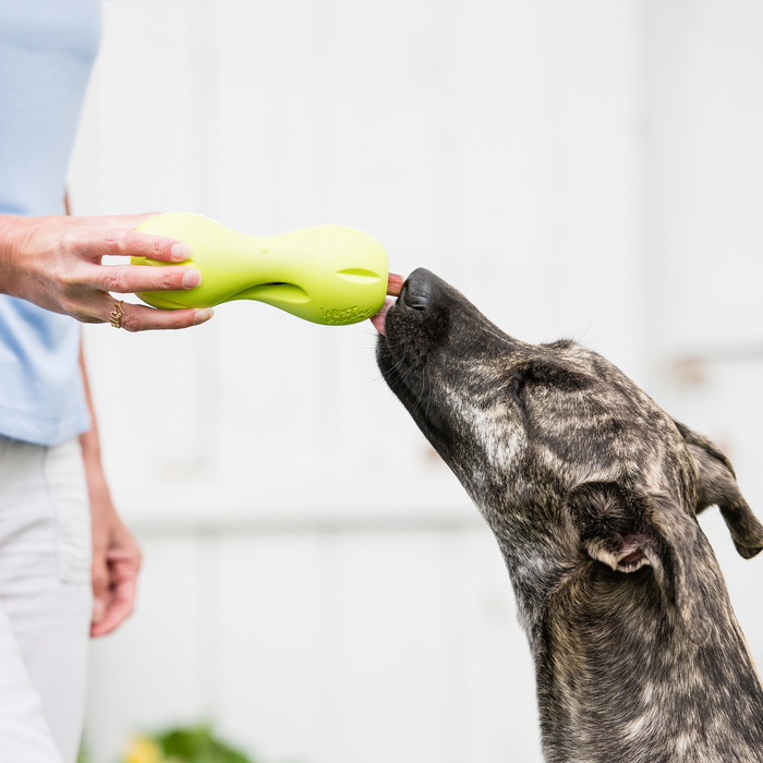 West Paws Qwizl Dog Toy