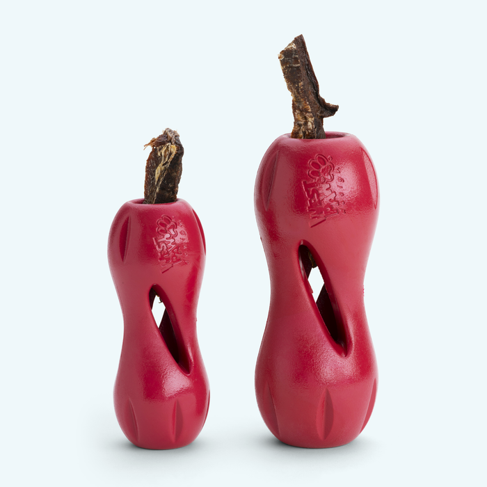 West Paws Qwizl Dog Toy