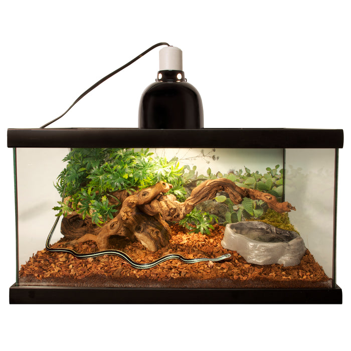 Zoo Med Premium ReptiBark Bedding Substrate Brown 4 qt