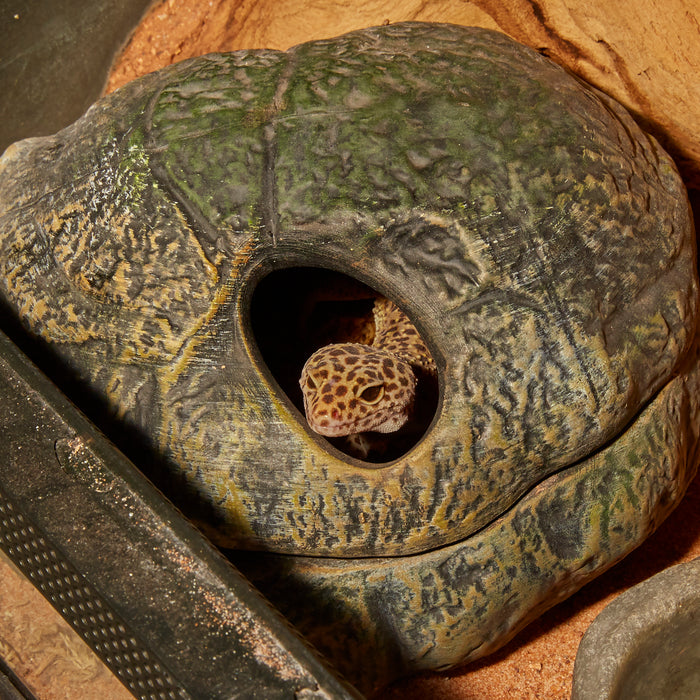 Zoo Med Repti Shelter 3-in-1 Cave Terrarium Hideaway Black 8in MD