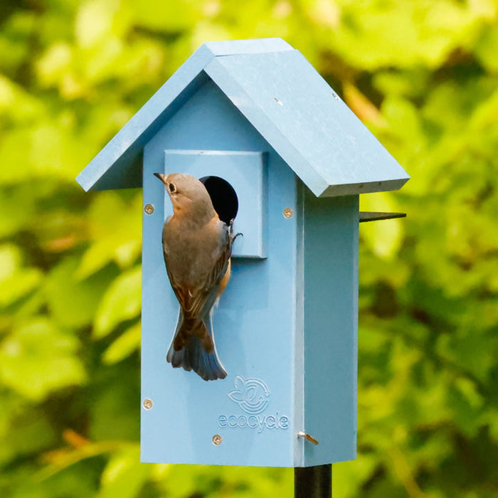 Nature's Way Bird Products Ecocycle Bluebird Bungalow Bird House, Blue