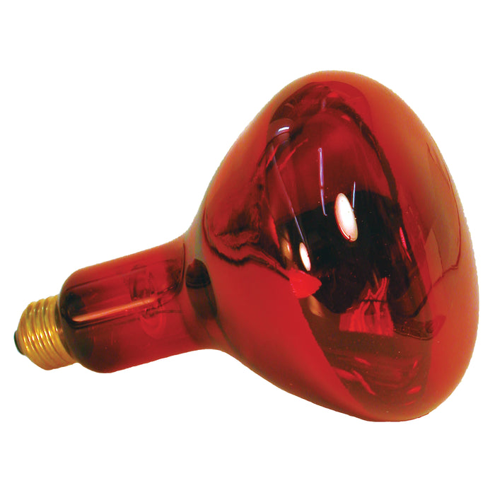 Zoo Med Nocturnal Infrared Heat Lamp 250 Watts