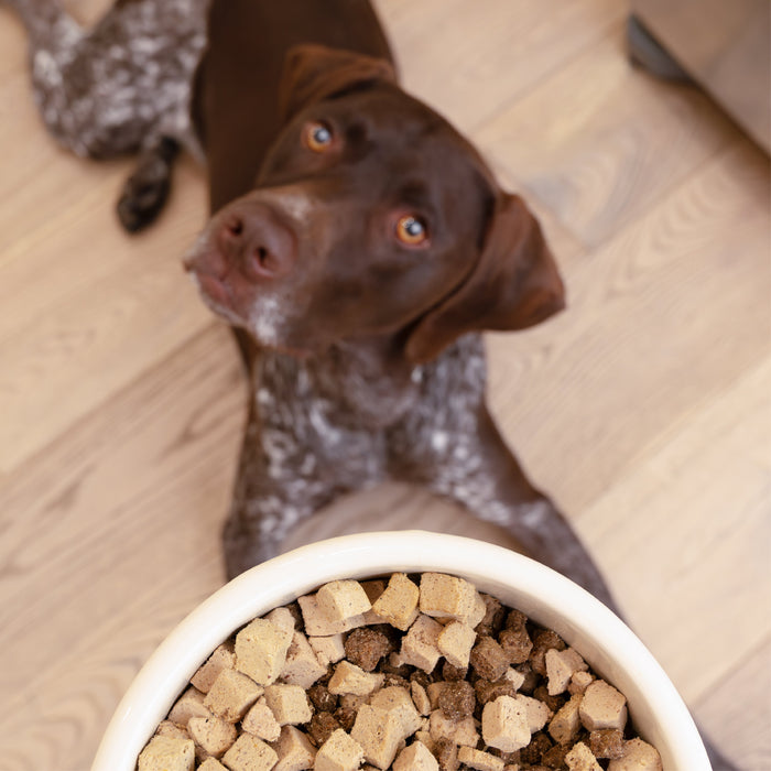 West Paw Beef Dog Food Topper 6.4 oz