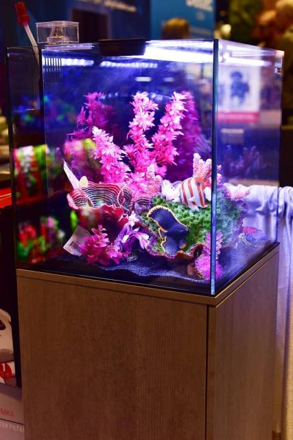 Aquatop Recife ECO Aquarium Kit with Stand Black, Clear 24 gal