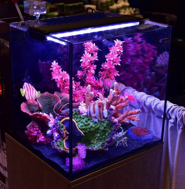 Aquatop Recife ECO Aquarium Kit with Stand Black, Clear 24 gal