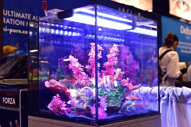 Aquatop Recife ECO Aquarium Kit with Stand Black, Clear 24 gal