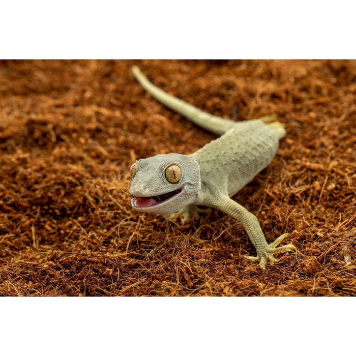 ReptiChip ReptiEarth Breeder Blocks and Bundles