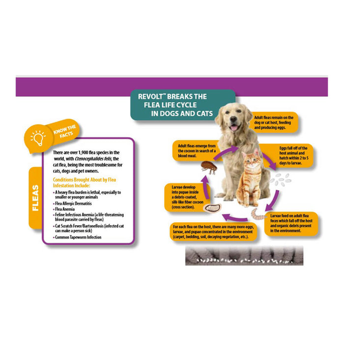 Rx Revolt (selamectin)  Dog 5.1-10 lbs  6pk