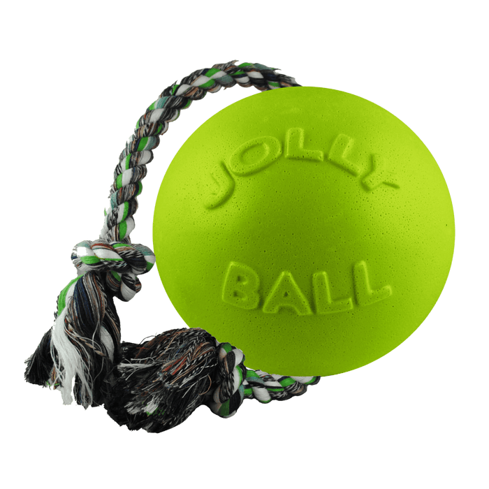Jolly Pets Romp-n-Roll