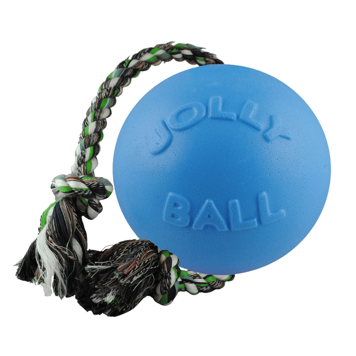 Jolly Pets Romp-n-Roll