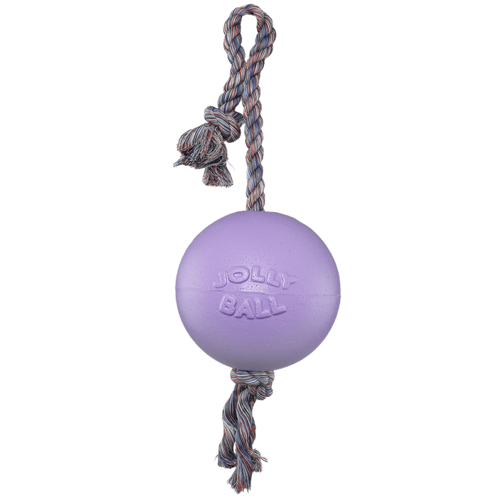 Jolly Pets Romp-n-Roll