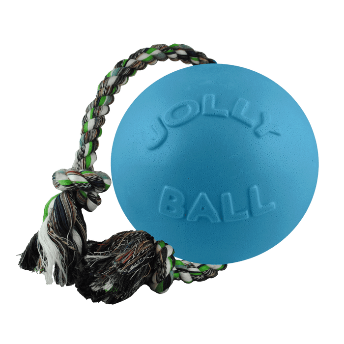 Jolly Pets Romp-n-Roll
