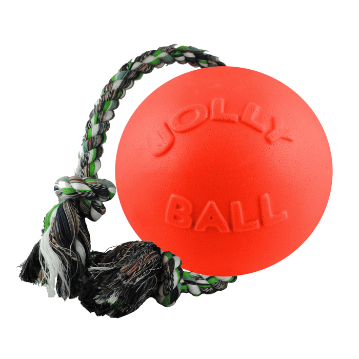 Jolly Pets Romp-n-Roll