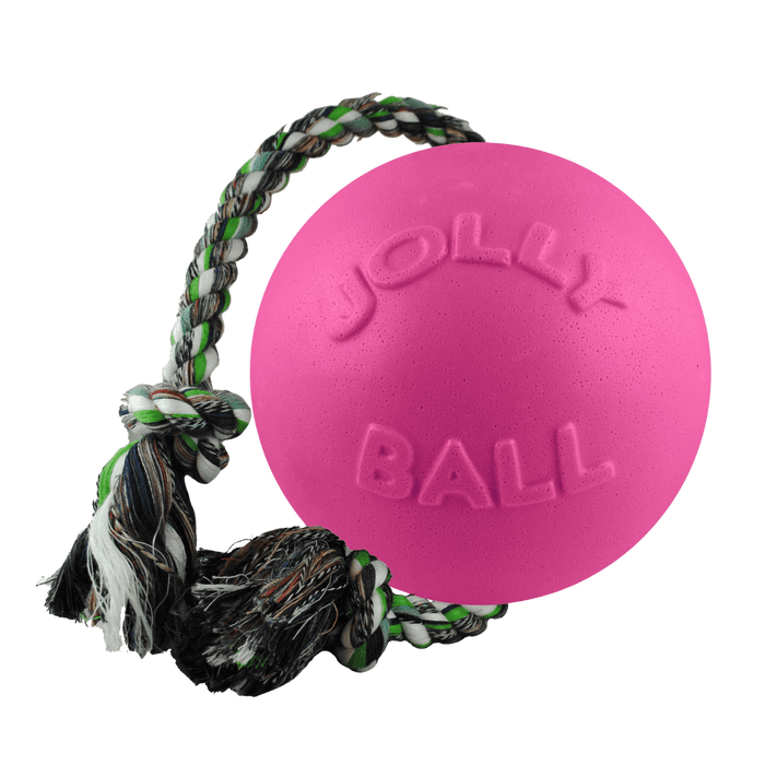 Jolly Pets Romp-n-Roll