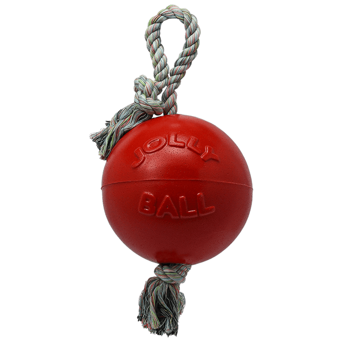 Jolly Pets Romp-n-Roll