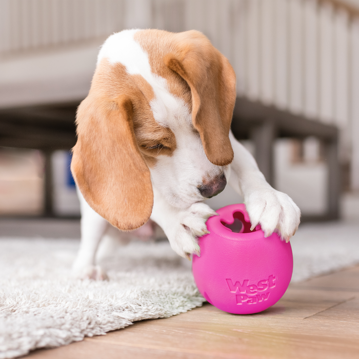 West Paws Rumbl Dog Feeder