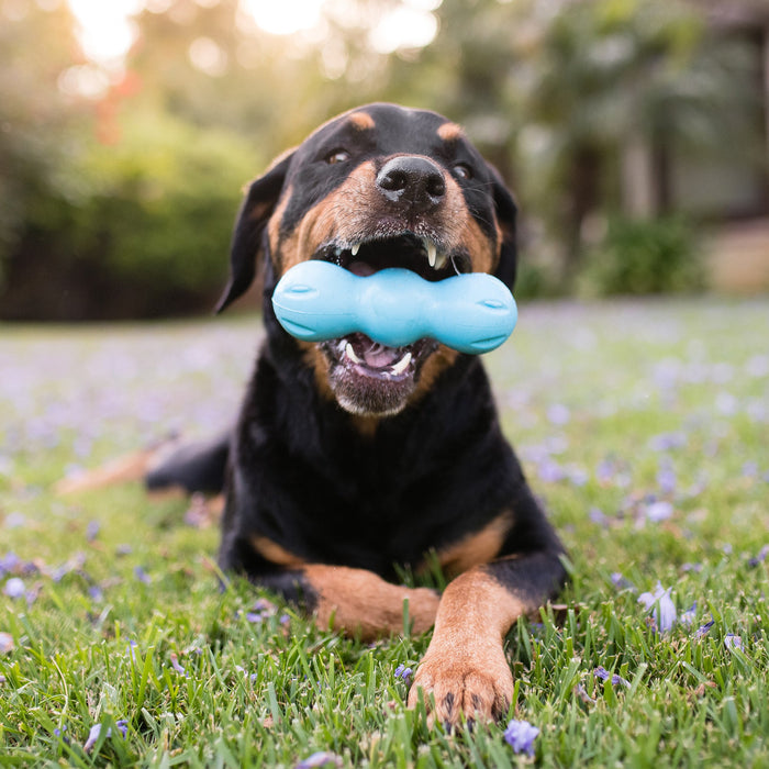 West Paws Rumpus Dog Toy