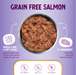 Health Extension Grain Free 95% Salmon - 5 - Image 11