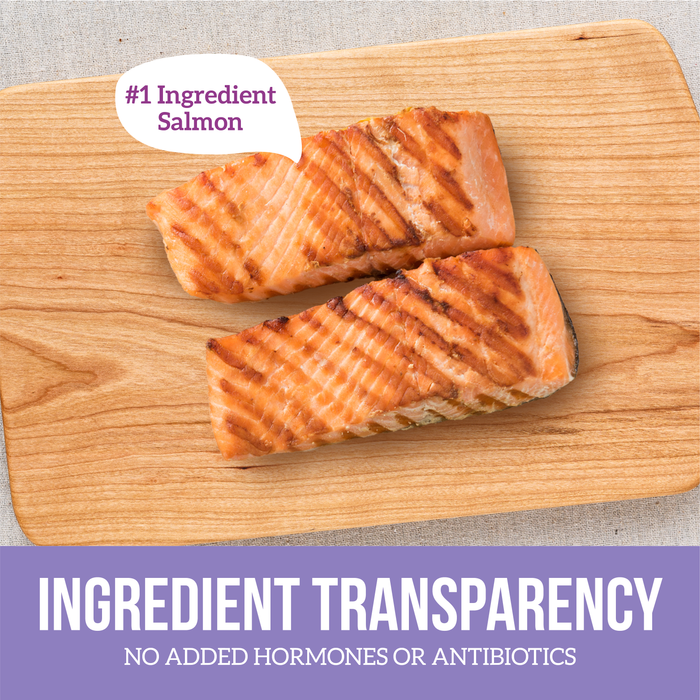 Health Extension Grain Free 95% Salmon - 8 - Image 11