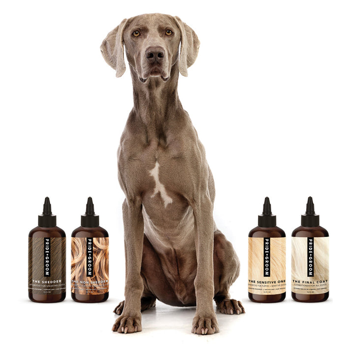 PRIDE+GROOM The Wash Sample Pack — Try PRIDE+GROOM's Best-Selling Dog Shampoos & Conditioner