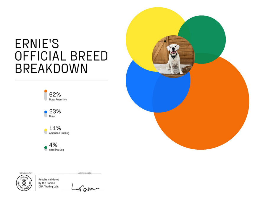 DNA My Dog Essential Breed ID Test