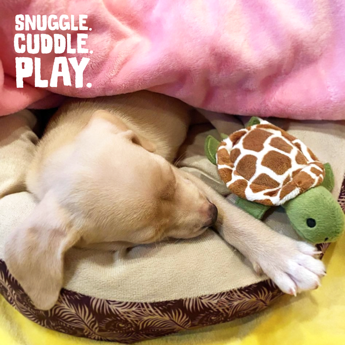 SnugArooz Baby Shelldon Plush Dog Toy