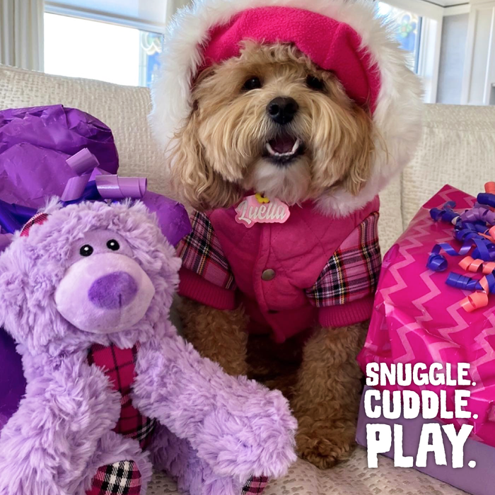SnugArooz Bella the Bear Plush Dog Toy