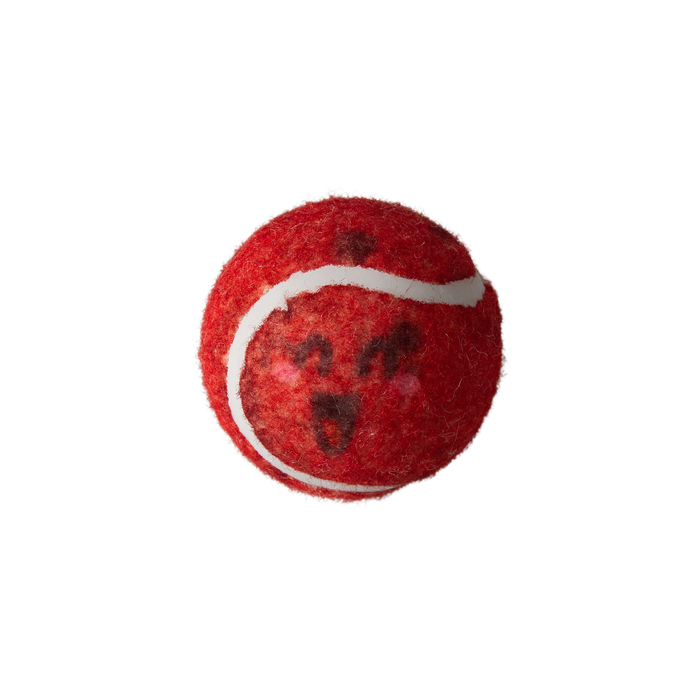 SnugArooz Behind Mars 2pk Tennis Squeaky Balls Dog Toy 2 Pk