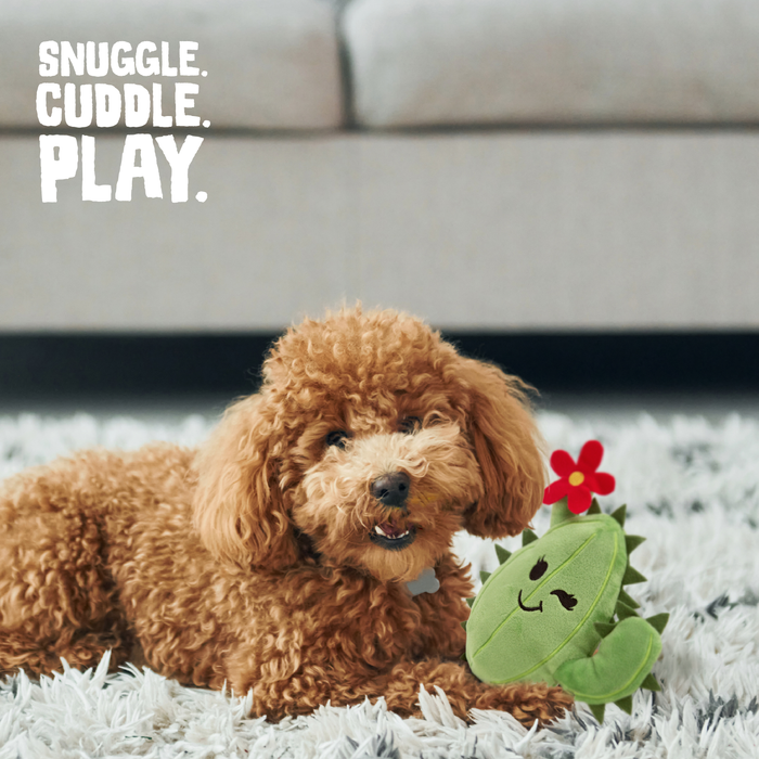 SnugArooz Chloe the Cactus Plush Dog Toy