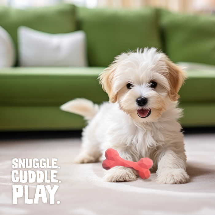 SnugArooz Snugz Craft Chew Dog Toy