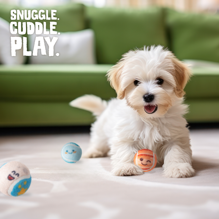 SnugArooz Deep Space 3pk Squeaky Tennis Balls Dog Toy