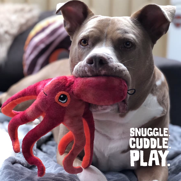 SnugArooz Olivia the Octopus Plush Dog Toy