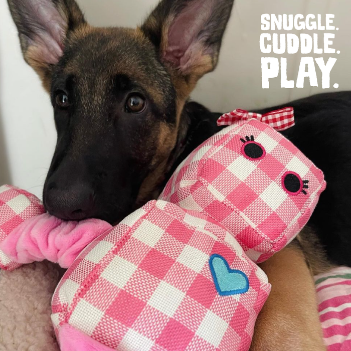SnugArooz Rosie the Robot Plush Dog Toy