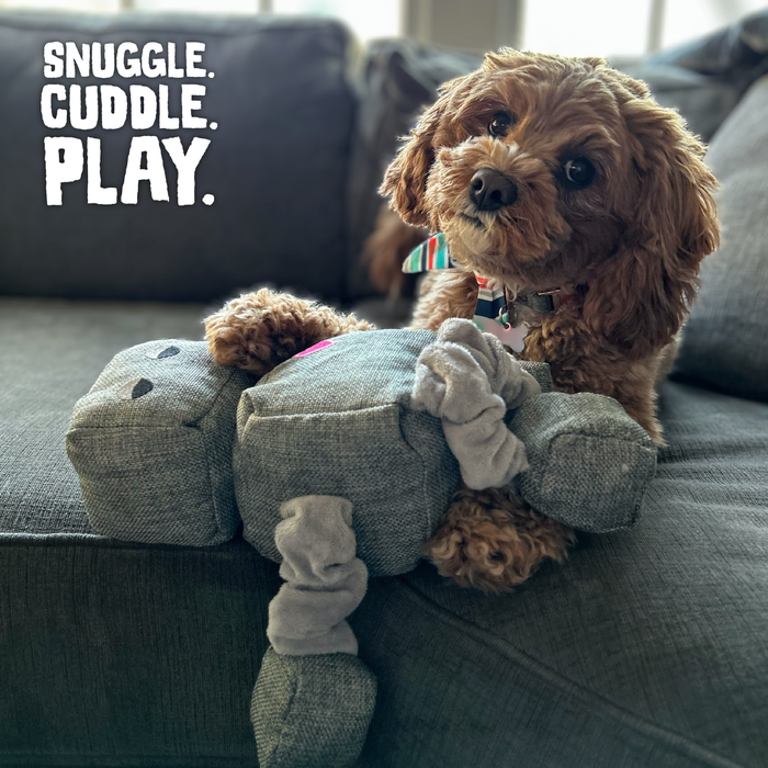 SnugArooz Ryder the Robot Plush Dog Toy