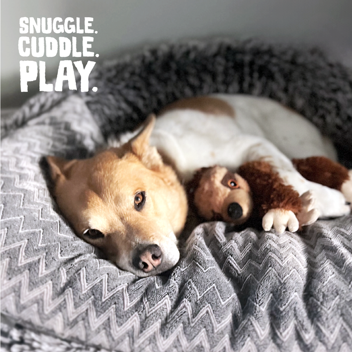 SnugArooz Sasha the Sloth Plush Dog Toy