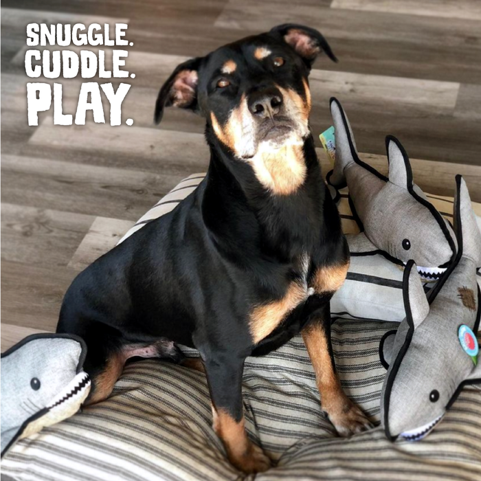 SnugArooz Saul the Shark Plush Dog Toy