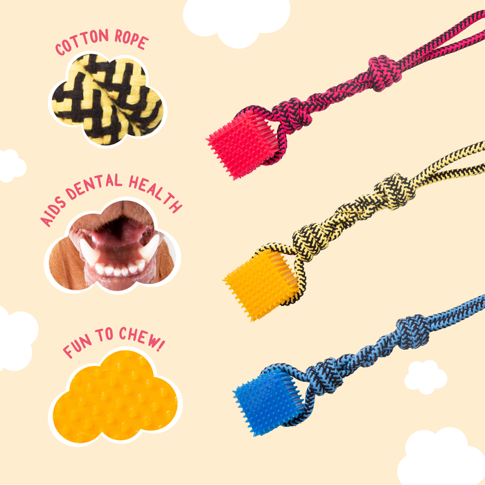 SnugArooz Spike-O-Cube 19" Rope Dog Toy