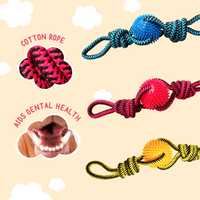 SnugArooz Spikey Beast Rope Dog Toy